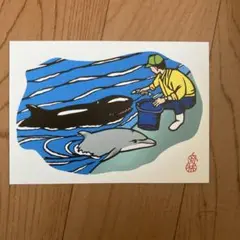 2025年最新】桂浜水族館の人気アイテム - メルカリ