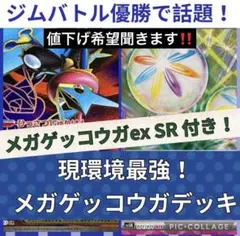 【メガゲッコウガex SR付き！】メガゲッコウガeデッキ　本日優勝デッキ