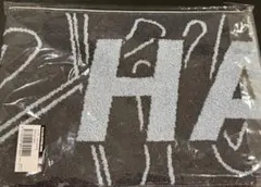 新品　スキズ HAN ハン RUN IT JAPAN マフラータオル　公式品