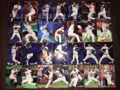 プロ野球チップスカード 102枚セット NPB コレクション スポーツ 大人買い