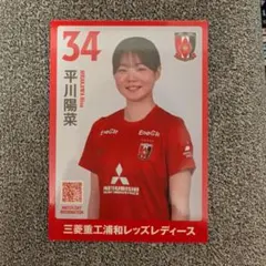 浦和レッズレディース カード 34 平川陽菜 - メルカリ