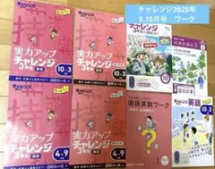 ＊進研ゼミ　チャレンジ　3年生　ワーク＊