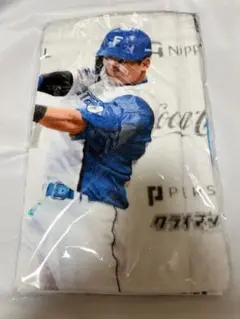 日本ハムファイターズ 水野達稀 応援歌フェイスタオル - メルカリ