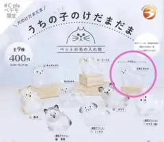 うちの子のけだまだま　三角たれみみ