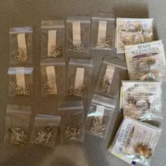 Item thumbnail for item 202dc0fe-4319-49ec-9ea0-cc49188df601