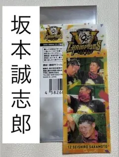 阪神タイガース　優勝　フォトグレイ　坂本誠志郎