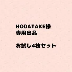 【HODATAKE様 専用出品】やわやわ袋