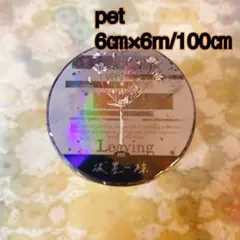 海外マスキングテープ巻売り 泼墨-セピア 装飾マステ petテープ