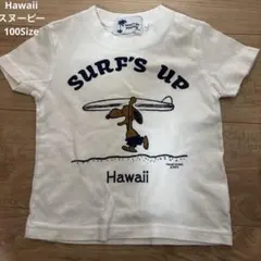 【Hawaii】スヌーピー 100Sizeのサムネイル