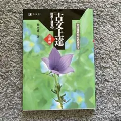 Item thumbnail for item aea6a7c1-e749-4a60-9aff-047d4fc09dbf