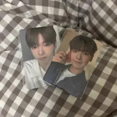 アーカイブ展 タレントカード