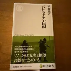 パレスチナ占領