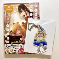 ある日、お姫様になってしまった件について　有償特典アクキー4点まとめ売り ある日、お姫様になってしまった件について 有償特典アクキー4点まとめ