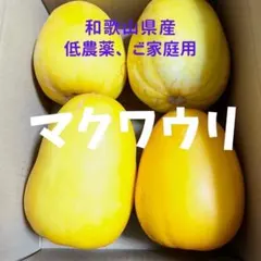 マクワウリ　4〜9個 約２キロ ご家庭用のサムネイル