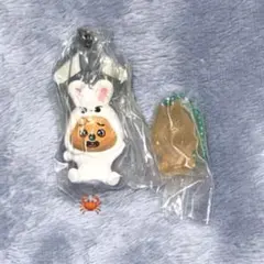 SKZOO HAN QUOKKAセット