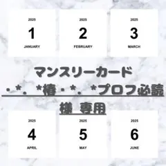 【・*．*椿・*．*プロフ必読様 専用】 ましかく マンスリーカードのサムネイル