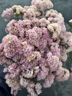 ohanatachi様 リクエスト 5点 まとめ商品