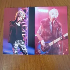 FTISLAND ライブフォトポストカード 2枚セット