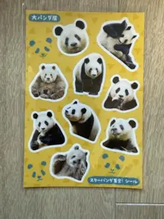 大パンダ展　スターパンダ集合‼︎シール　シャンシャン