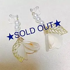 ★1点のみ★ハンドメイド★ピアス/イヤリング No.48★変更可能★