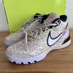 Nike Lebron】19 leopard バスケシューズ ハイカット - メルカリ
