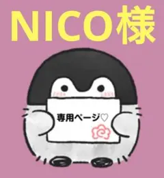 NICO様☆(⁠*⁠´⁠ω⁠｀⁠*⁠)専用でございます