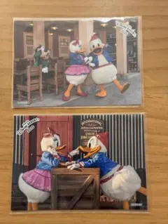 【お値下げ中】ディズニーシースペシャルフォト　ドナルド♡デイジー
