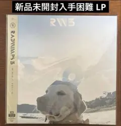 2025年最新】radwimps アナログ盤の人気アイテム - メルカリ