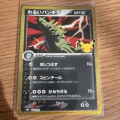 わるいバンギラス 144/103