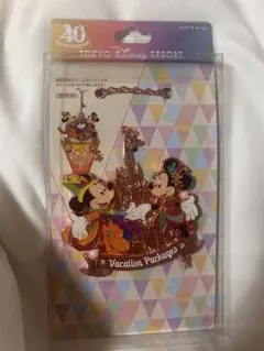 【限定】ディズニー　バケーションパッケージ特典　40周年バッグチャーム