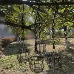 2025年最新】日本の野鳥の人気アイテム - メルカリ