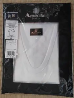 Item thumbnail for item 110cce24-768d-4fec-94ec-7396e924cf0b