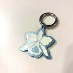 ハレクラニ沖縄★アクリルチャーム