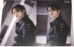 Stray Kids リノ ラントレ 5-STAR ランダムトレカ