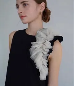 【最終お値下げ】Acka. tulle no sleeve one-pieceのサムネイル