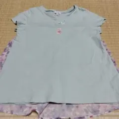 くまのネックレス風　バックシャン　Tシャツ　エニィファム　130