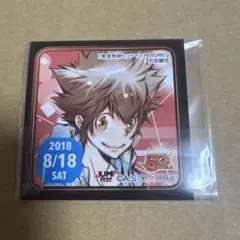 家庭教師ヒットマンREBORN リボーン 沢田綱吉 ツナ ステッカー 特典 原作