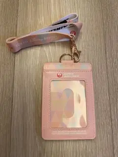 ディズニー チケットホルダー 新品未使用 非売品 40周年記念