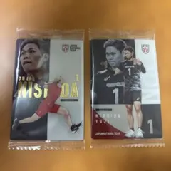 男子バレー日本代表ツインウエハース 西田有志 2枚