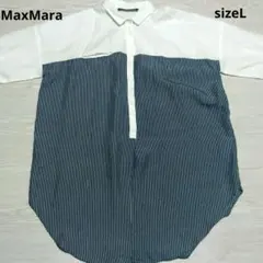 Item thumbnail for item ebf73b8e-6bdf-40d3-903b-5d2ea3c88720