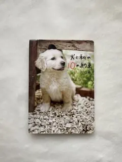 Item thumbnail for item afb72a63-b928-465d-aa61-c7a754c4f07e