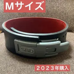 j*9様 「美品」100本限定BEYOND GYM パワーベルト(エドワード加藤