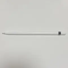正品/ジャンク] スタイラスペン ipad apple pencil タッチペン