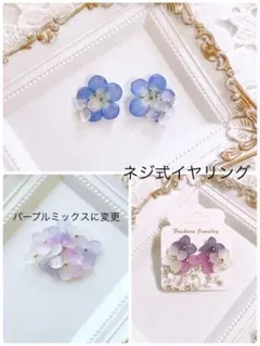 むっちゃん様専用☆ネジ式イヤリング ポニーフック