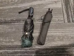 Item thumbnail for item 6e245600-a768-416b-933a-9cfe3668f4b5