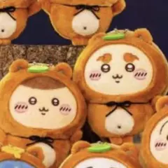 C賞　たぬきだもんくじ　2点セット