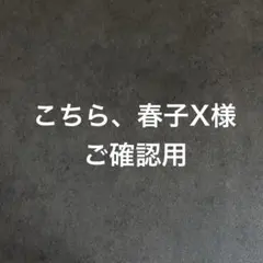 【こちら、春子X様ご確認用】状態画像追加分