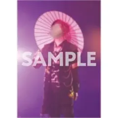 騎士X KnightX てるとくん STPR EXPOくじ ポスター　1枚