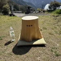 2026年最新】トトロ 座椅子の人気アイテム - メルカリ