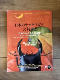 ビークワ　BE KUWA No. 8